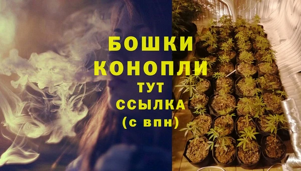 прущие крисы Новокубанск