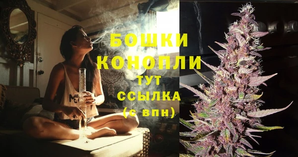 PSILOCYBIN Новодвинск