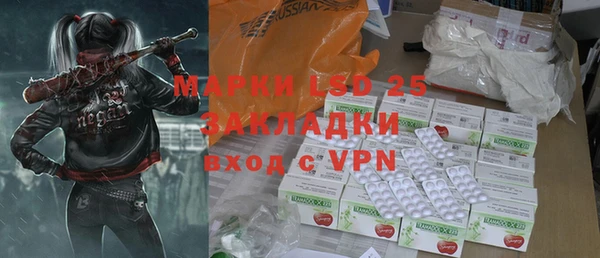 ГАЛЛЮЦИНОГЕННЫЕ ГРИБЫ Суоярви