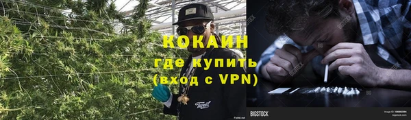 PSILOCYBIN Новодвинск