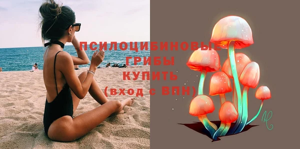 скорость Новозыбков