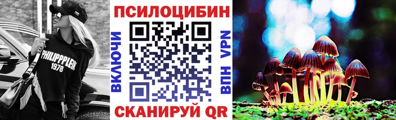 даркнет сайт  Киренск  Псилоцибиновые грибы Magic Shrooms 